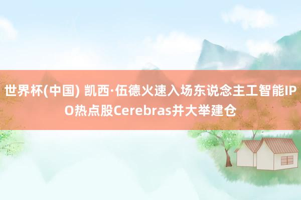 世界杯(中国) 凯西·伍德火速入场东说念主工智能IPO热点股Cerebras并大举建仓
