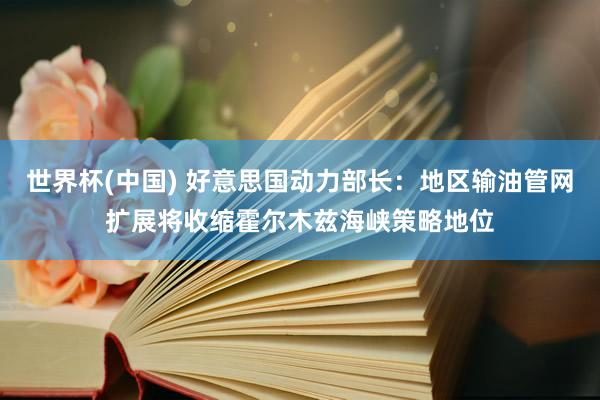 世界杯(中国) 好意思国动力部长：地区输油管网扩展将收缩霍尔木兹海峡策略地位
