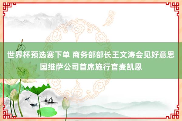 世界杯预选赛下单 商务部部长王文涛会见好意思国维萨公司首席施行官麦凯恩