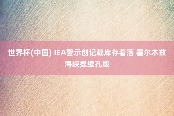 世界杯(中国) IEA警示创记载库存着落 霍尔木兹海峡捏续孔殷