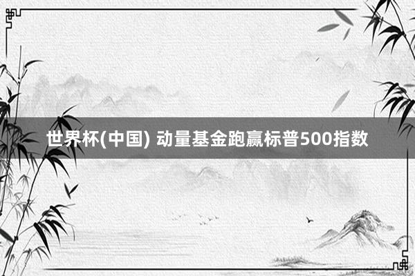 世界杯(中国) 动量基金跑赢标普500指数