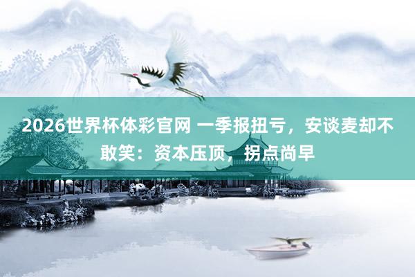 2026世界杯体彩官网 一季报扭亏，安谈麦却不敢笑：资本压顶，拐点尚早