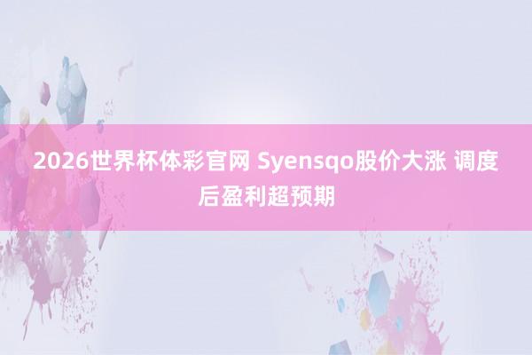 2026世界杯体彩官网 Syensqo股价大涨 调度后盈利超预期