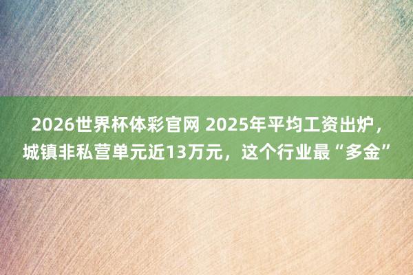 2026世界杯体彩官网 2025年平均工资出炉，城镇非私营单元近13万元，这个行业最“多金”