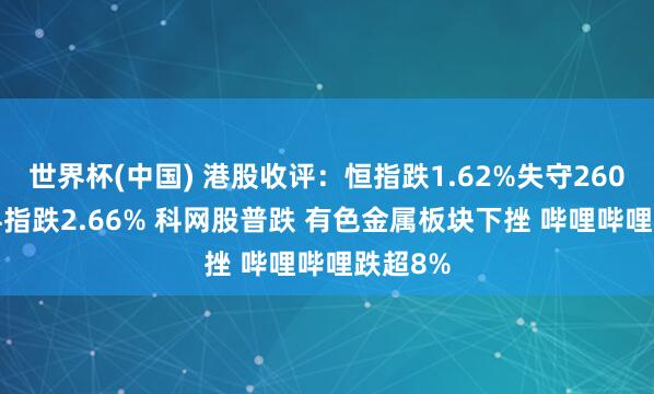 世界杯(中国) 港股收评：恒指跌1.62%失守26000点 科指跌2.66% 科网股普跌 有色金属板块下挫 哔哩哔哩跌超8%