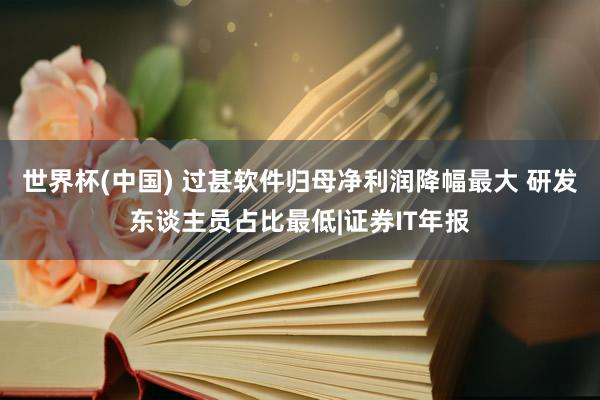 世界杯(中国) 过甚软件归母净利润降幅最大 研发东谈主员占比最低|证券IT年报