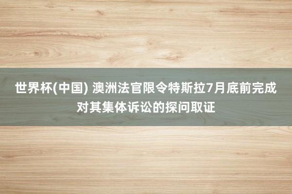 世界杯(中国) 澳洲法官限令特斯拉7月底前完成对其集体诉讼的探问取证