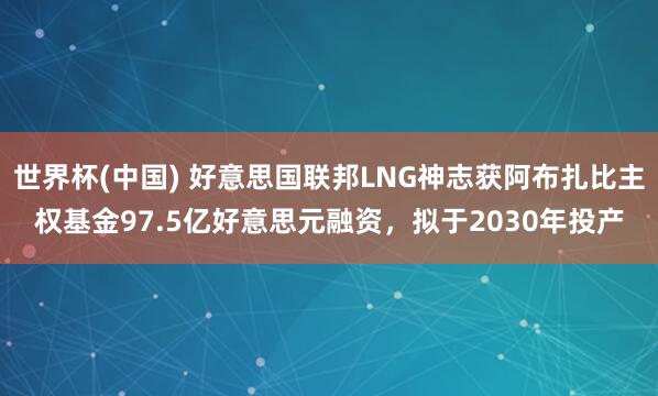 世界杯(中国) 好意思国联邦LNG神志获阿布扎比主权基金97.5亿好意思元融资，拟于2030年投产