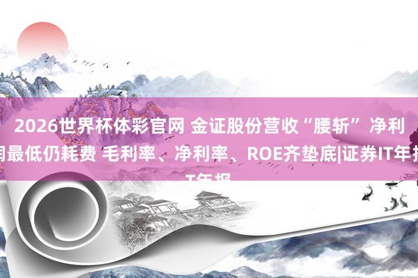 2026世界杯体彩官网 金证股份营收“腰斩” 净利润最低仍耗费 毛利率、净利率、ROE齐垫底|证券IT年报