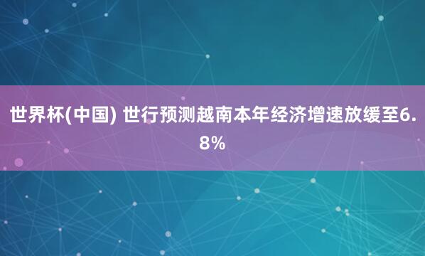 世界杯(中国) 世行预测越南本年经济增速放缓至6.8%