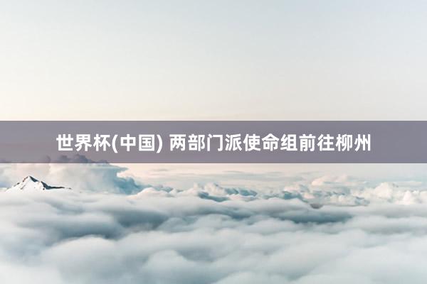 世界杯(中国) 两部门派使命组前往柳州