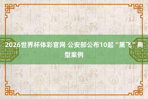 2026世界杯体彩官网 公安部公布10起“黑飞”典型案例