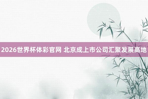 2026世界杯体彩官网 北京成上市公司汇聚发展高地