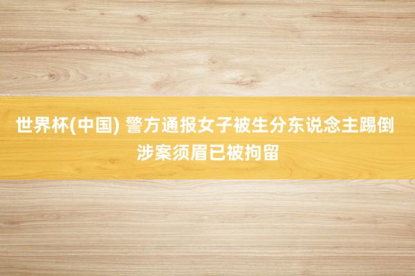 世界杯(中国) 警方通报女子被生分东说念主踢倒 涉案须眉已被拘留