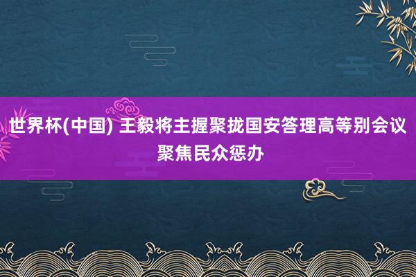 世界杯(中国) 王毅将主握聚拢国安答理高等别会议 聚焦民众惩办