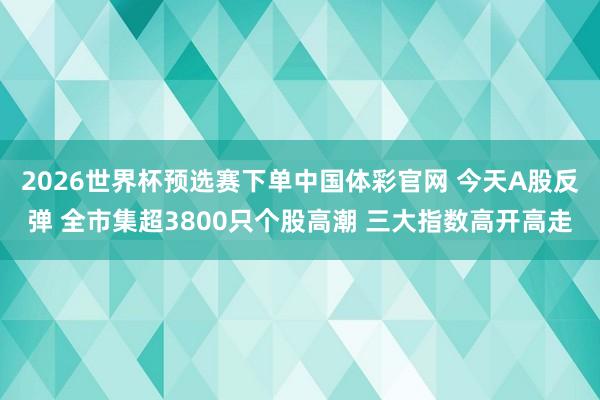 2026世界杯预选赛下单中国体彩官网 今天A股反弹 全市集超3800只个股高潮 三大指数高开高走