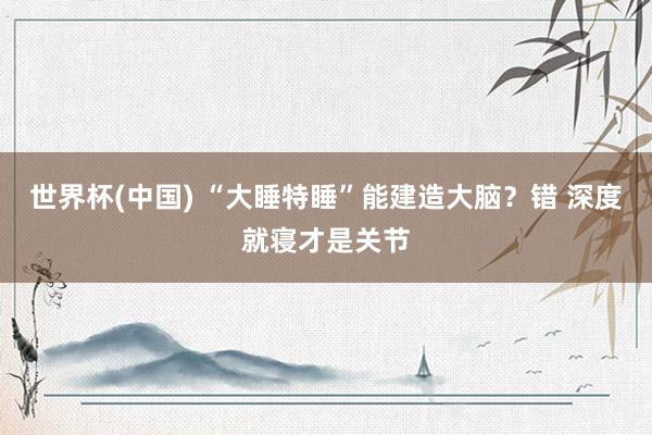 世界杯(中国) “大睡特睡”能建造大脑？错 深度就寝才是关节