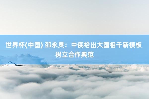 世界杯(中国) 邵永灵：中俄给出大国相干新模板 树立合作典范