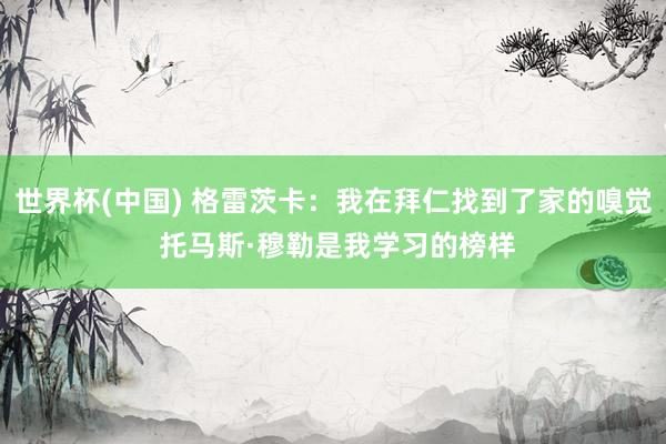 世界杯(中国) 格雷茨卡：我在拜仁找到了家的嗅觉 托马斯·穆勒是我学习的榜样