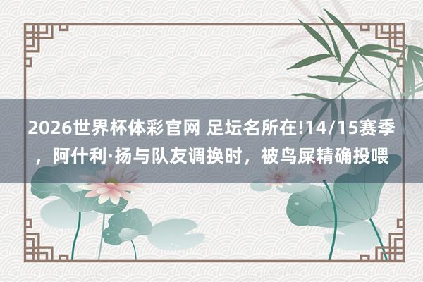 2026世界杯体彩官网 足坛名所在!14/15赛季，阿什利·扬与队友调换时，被鸟屎精确投喂