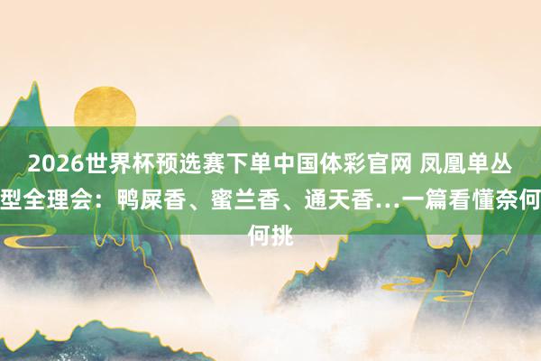 2026世界杯预选赛下单中国体彩官网 凤凰单丛香型全理会：鸭屎香、蜜兰香、通天香…一篇看懂奈何挑
