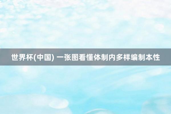 世界杯(中国) 一张图看懂体制内多样编制本性