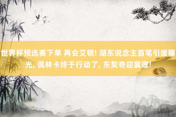 世界杯预选赛下单 再会艾顿! 湖东说念主首笔引援曝光， 佩林卡终于行动了， 东契奇迎襄理!