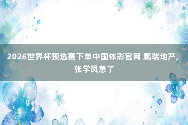 2026世界杯预选赛下单中国体彩官网 鹏瑞地产， 张学凤急了