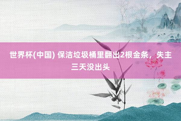 世界杯(中国) 保洁垃圾桶里翻出2根金条，失主三天没出头
