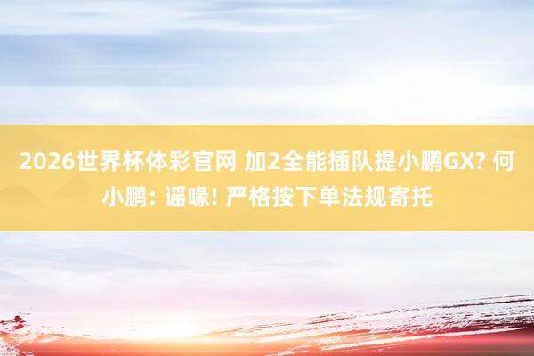 2026世界杯体彩官网 加2全能插队提小鹏GX? 何小鹏: 谣喙! 严格按下单法规寄托