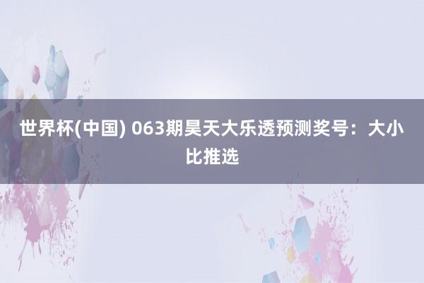 世界杯(中国) 063期昊天大乐透预测奖号：大小比推选