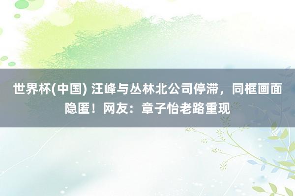 世界杯(中国) 汪峰与丛林北公司停滞，同框画面隐匿！网友：章子怡老路重现
