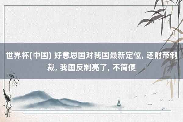 世界杯(中国) 好意思国对我国最新定位， 还附带制裁， 我国反制亮了， 不简便