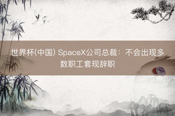 世界杯(中国) SpaceX公司总裁：不会出现多数职工套现辞职