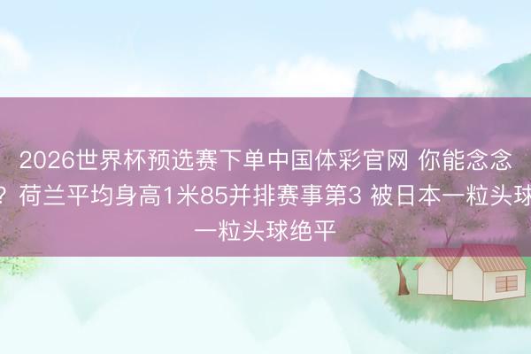 2026世界杯预选赛下单中国体彩官网 你能念念象吗？荷兰平均身高1米85并排赛事第3 被日本一粒头球绝平