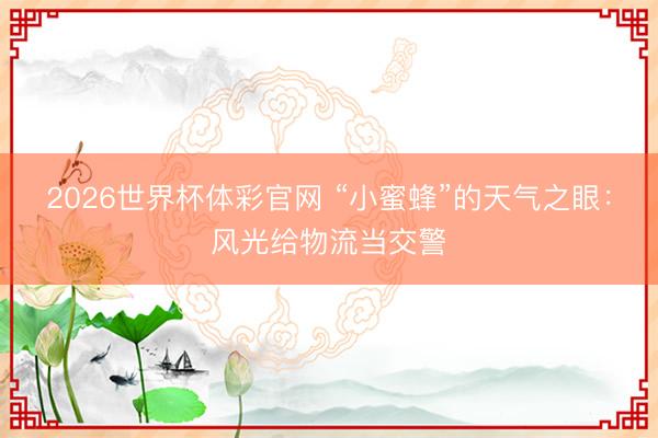 2026世界杯体彩官网 “小蜜蜂”的天气之眼：风光给物流当交警