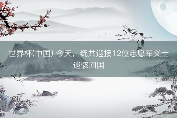 世界杯(中国) 今天，统共迎接12位志愿军义士遗骸回国